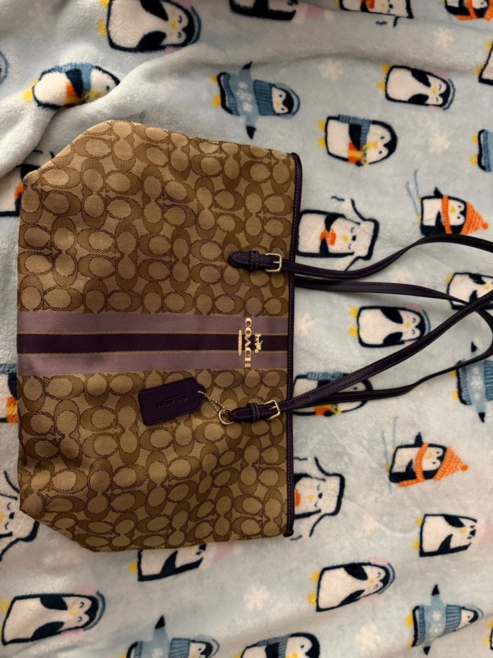 Coach Brown Signature Canvas Tote with Purple Straps and Stripe